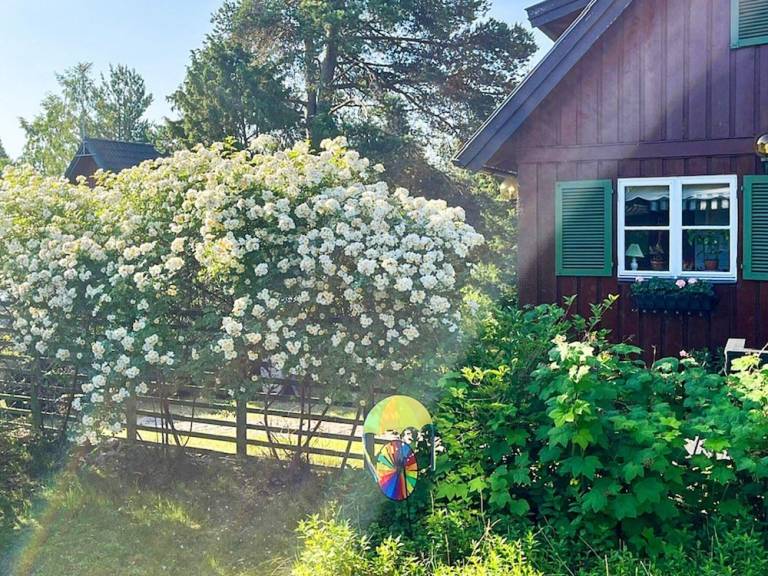 Ferienhaus Singö