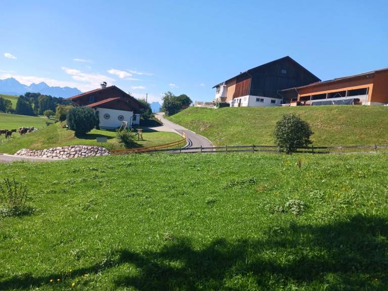 foto11