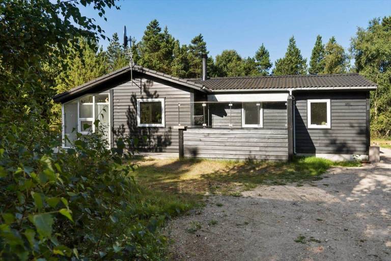 Ferienhaus mit Hund inKongsmark  f&uuml;r max. 6 Personen