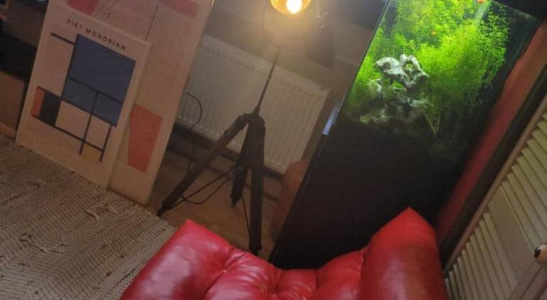 foto47