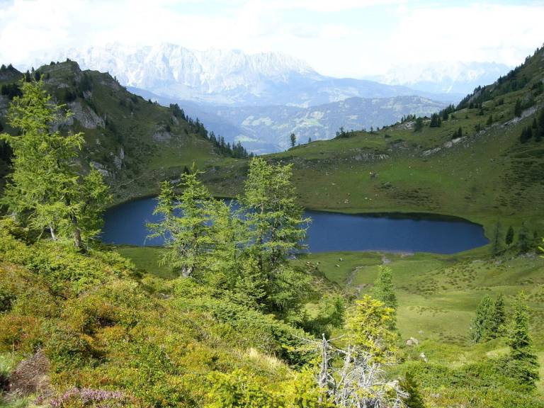 foto33