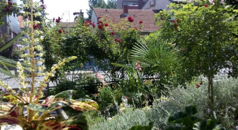foto9