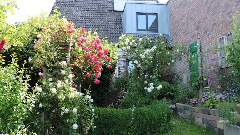 Ferienwohnung  Handeloh