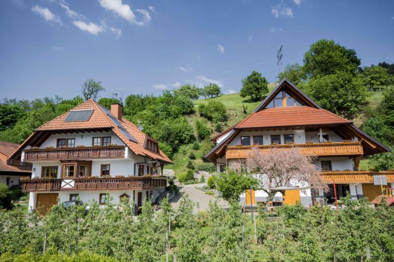 Ferienwohnung Haslach im Kinzigtal