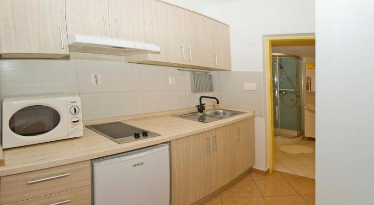 Holiday apartment with patio in Novigrad