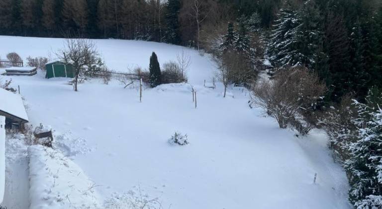 foto14