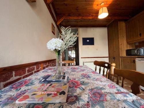 Ferienhaus Sligo