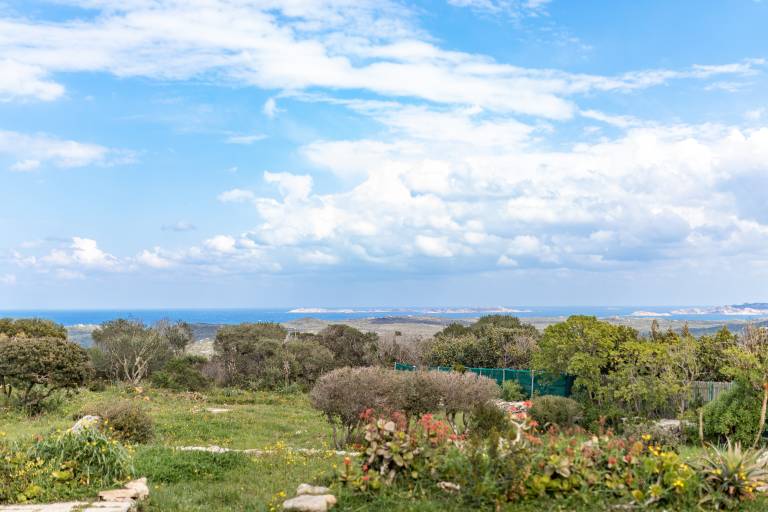 Charming "Villa Vista Mare Santa Teresa" in the Green with Sea View, Garden & Terrace — photo 3