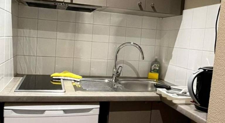 Pleasant serviced apartment with yard | Pets allowed — photo 4