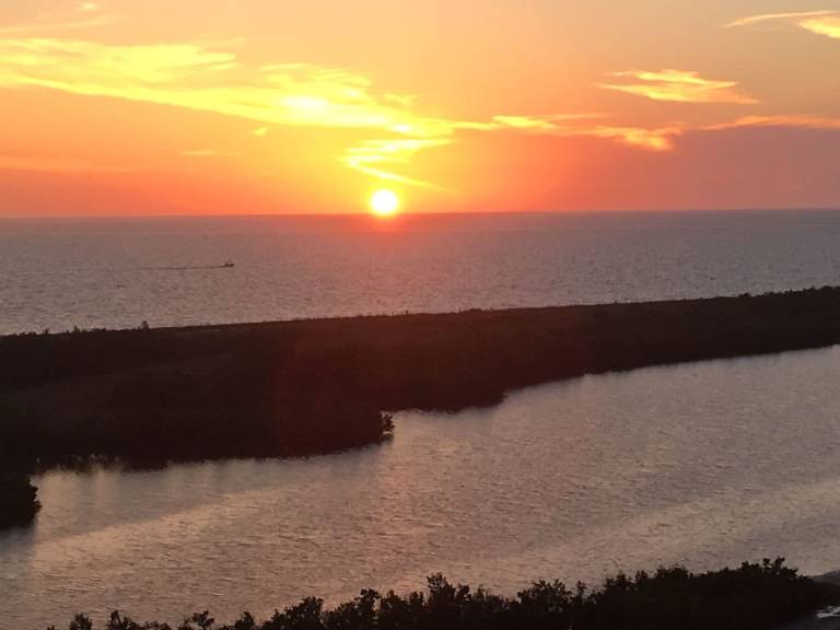 Condo Marco Island