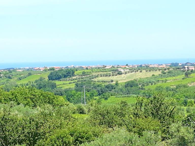 foto12