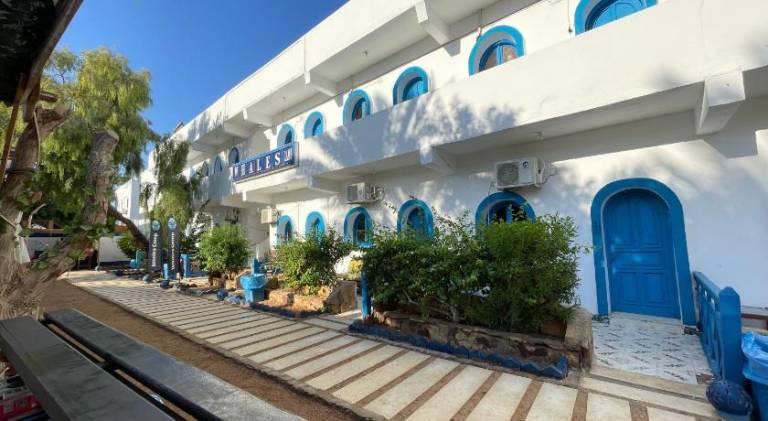 Whales camp dahab — photo 5