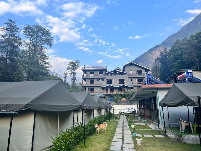 North Deodar Camps, Kasol — photo 5
