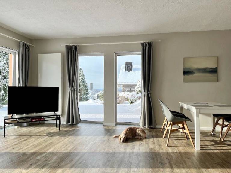 foto17