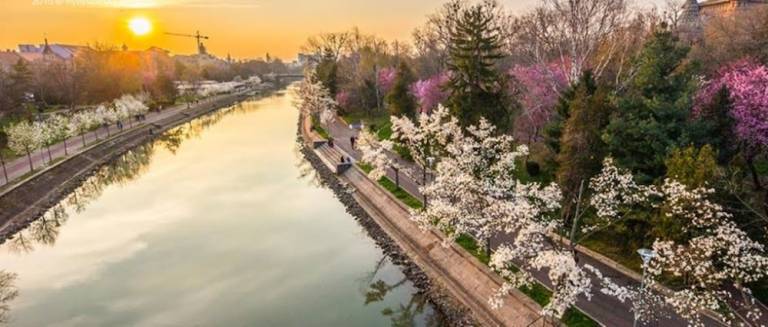 Apartment  Timisoara