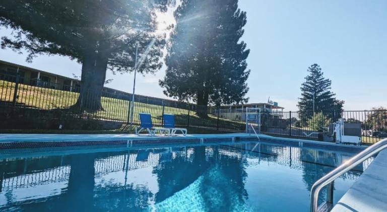 Foothills Motel — photo 3