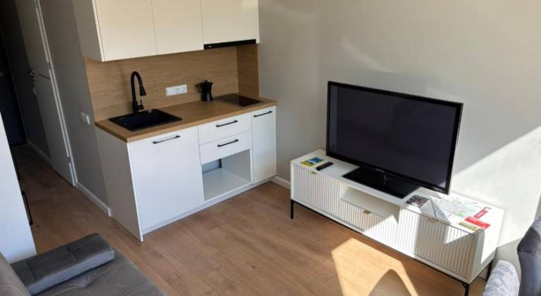 Lovely rental apartment | Close to St Catherine's Church | Pets allowed in Vilnius