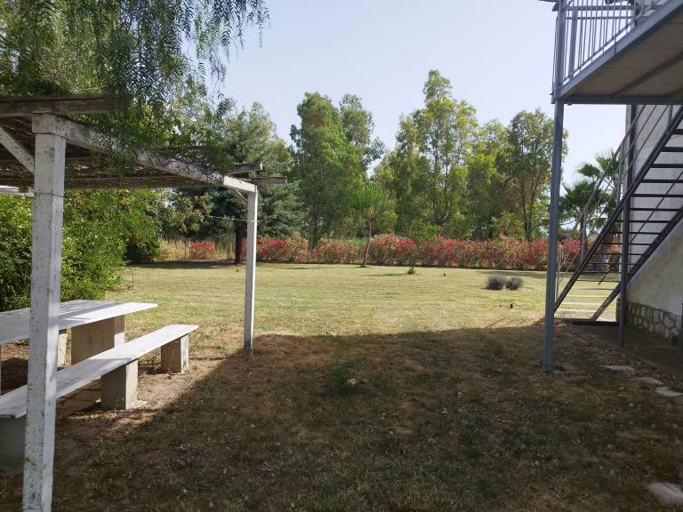 foto19
