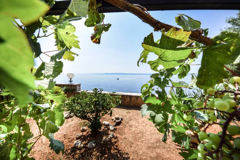 Apartma Sumartin