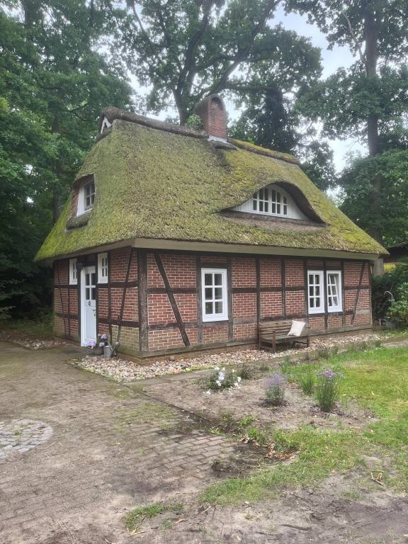 foto1