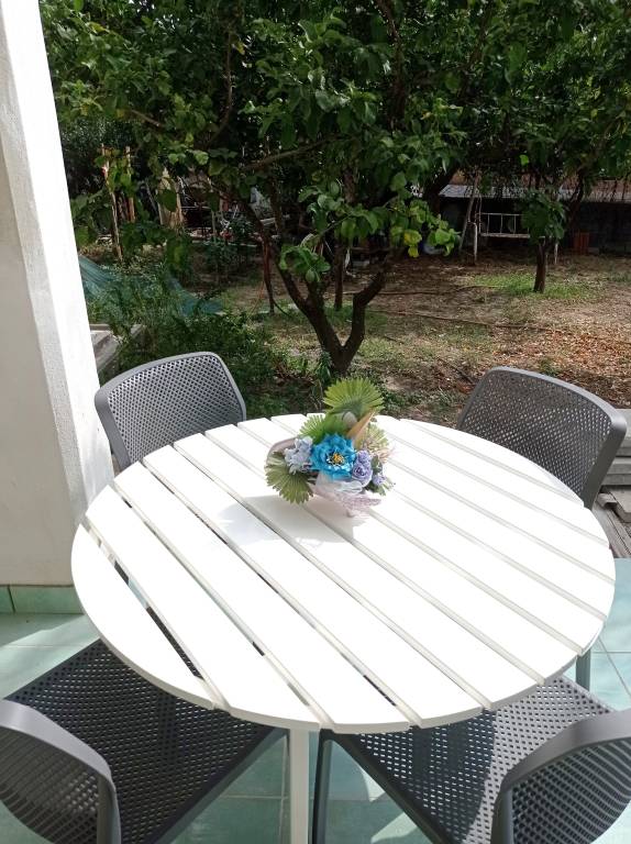House with yard — photo 3
