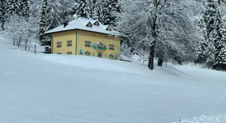 Appartamento con servizi da hotel  Borgo Valsugana