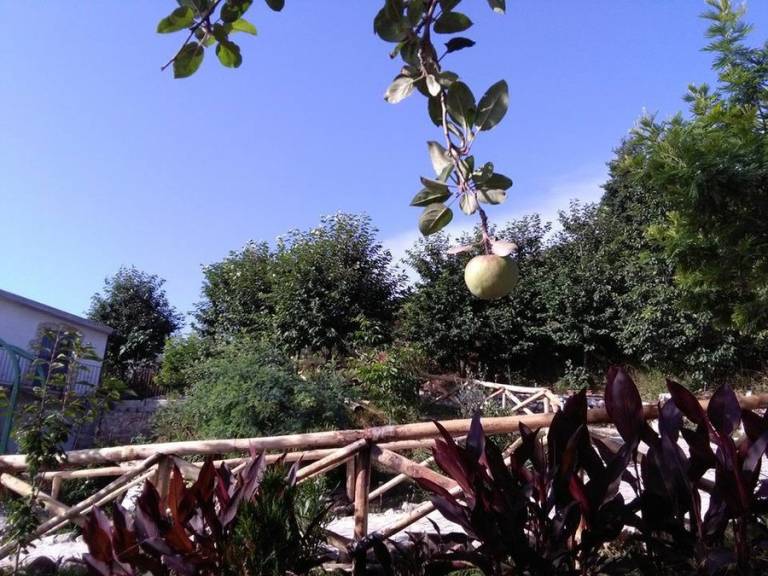 foto9