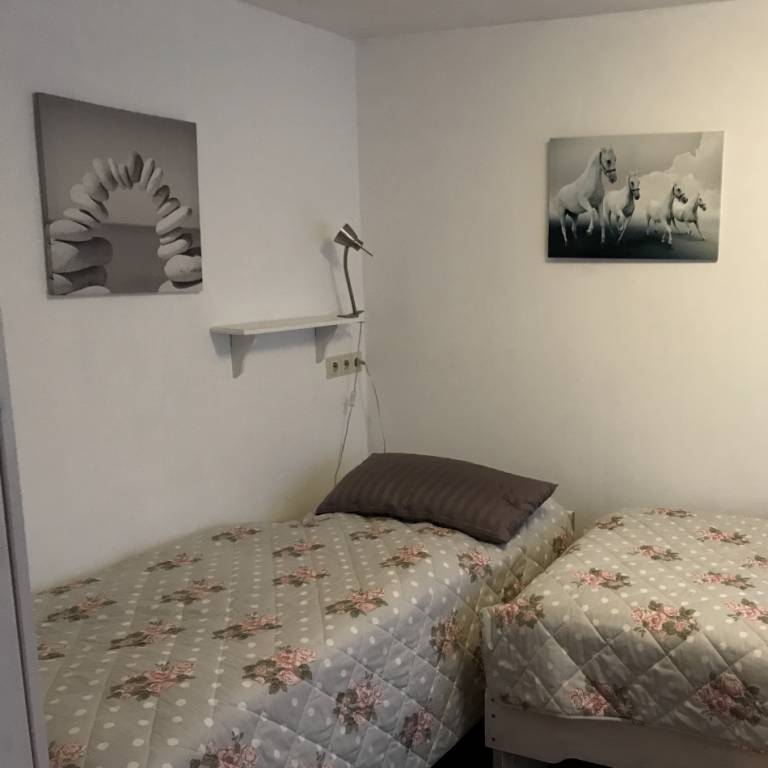 foto11