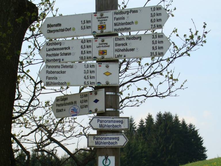 foto16