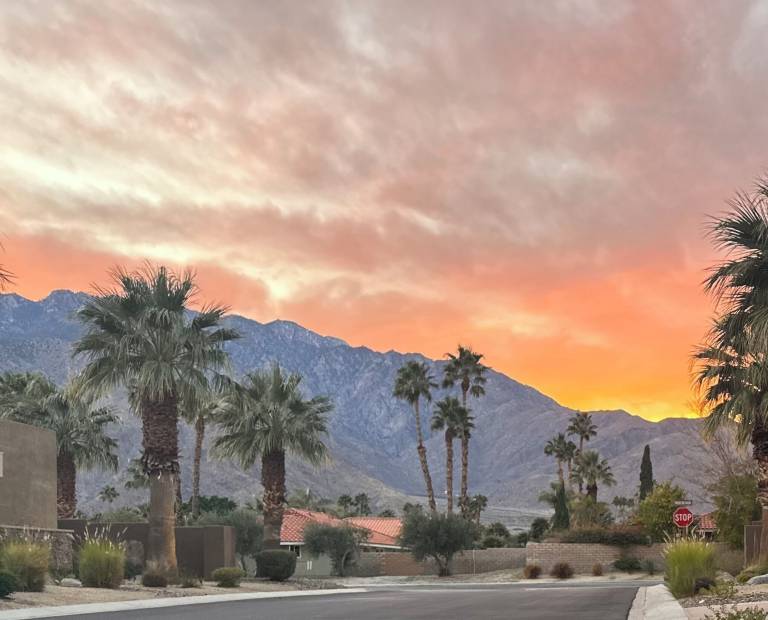 Ferienhaus Palm Springs