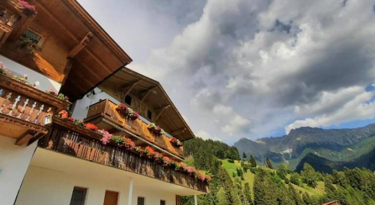Pixnerhof Urlaub auf dem Bauernhof — photo 2