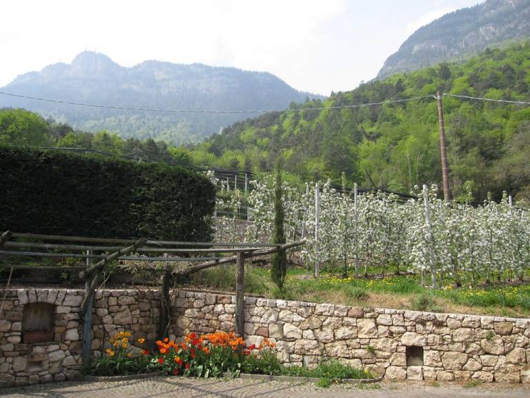 Ferienwohnung in Steinegger, Südtirols Süden für max. 4 Personen Ferienwohnung in Steinegger, Südtirols Süden für max. 4 Personen