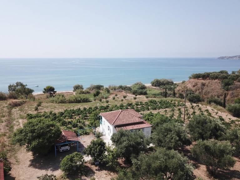 σπίτι Κορώνη