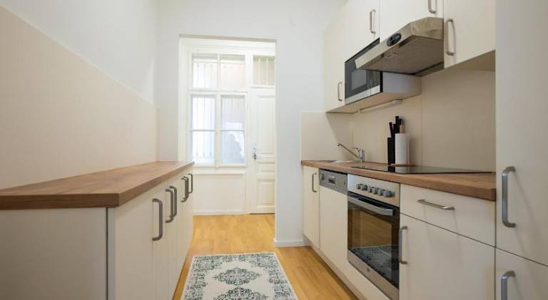 Modern apartment near Belvedere Castle — photo 5