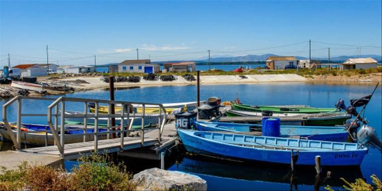 Appartement Gruissan