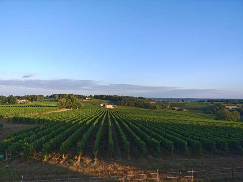 Chambre d'hôtes Castillon-la-Bataille