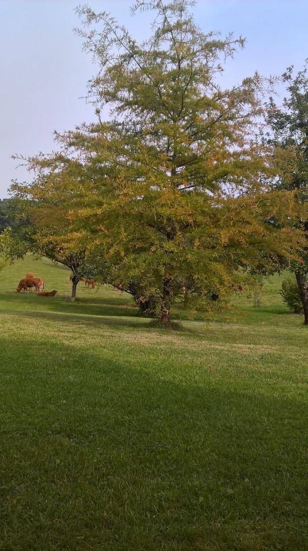 foto19