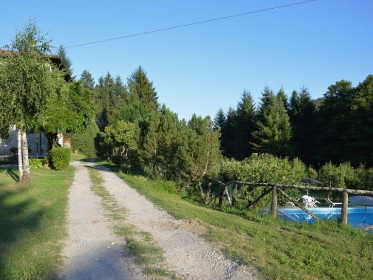 foto5