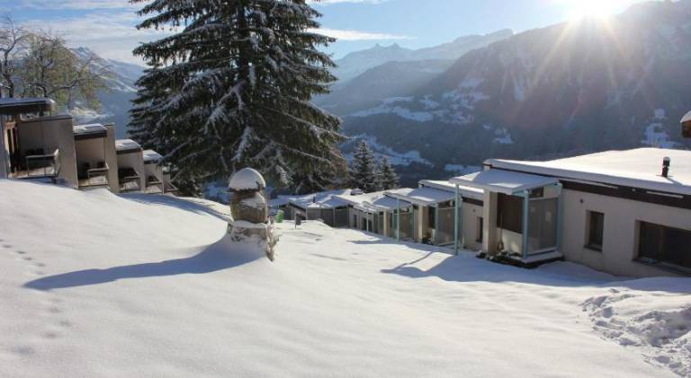 Apartment with barbeque in Leysin