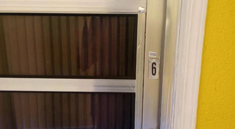 foto19