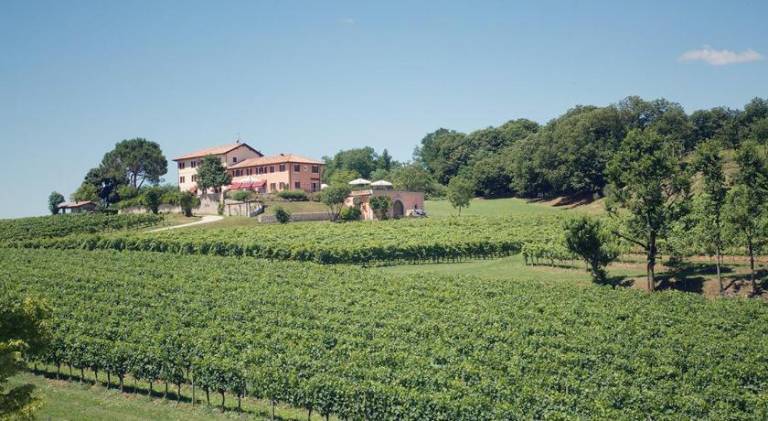 House with garden, patio & private pool in Treviso