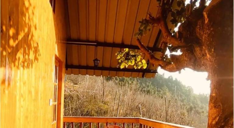 Tree Nest Resort — photo 4