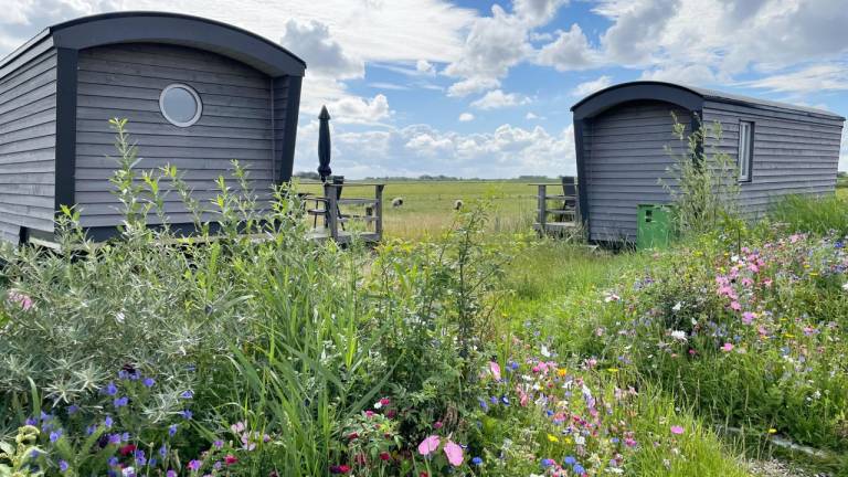 Ferienwohnung  Hooge