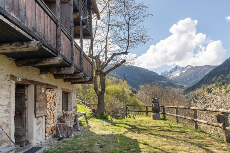Rental apartment with yard | Mountain view | Pets allowed in Sondrio