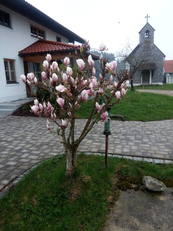 foto10