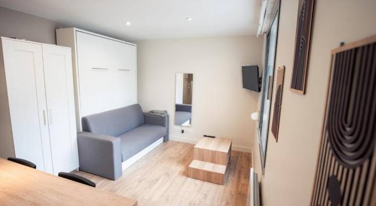 Rental apartment with terrace | Next to Palais des Beaux-Arts de Lille | Pets allowed in Lille