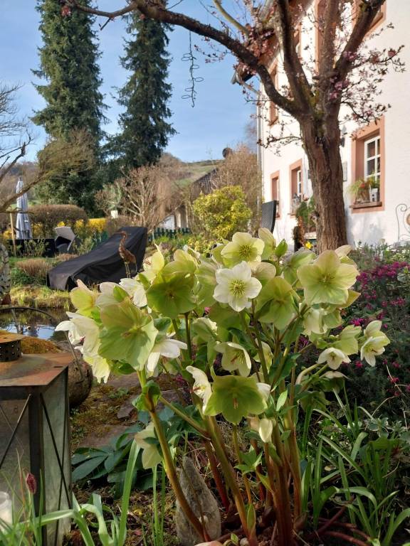 Ferienwohnung Gerolstein