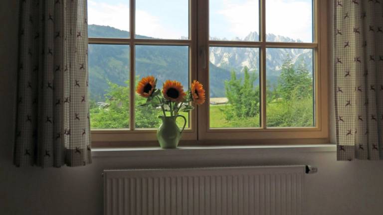 Ferienwohnung Gosau