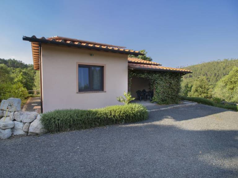 foto18