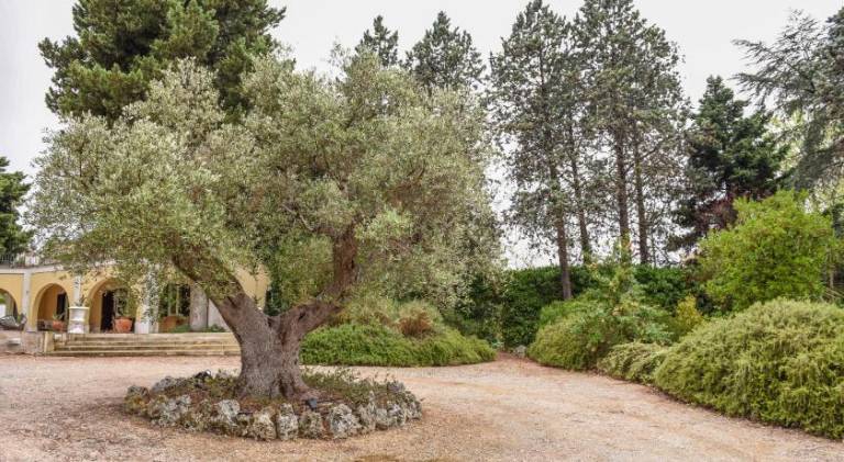 Charming villa | Pet-friendly in Franca
